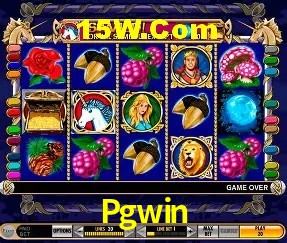 A Popularidade dos Caça-Níqueis no Pgwin