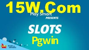 Premium Interface Pgwin